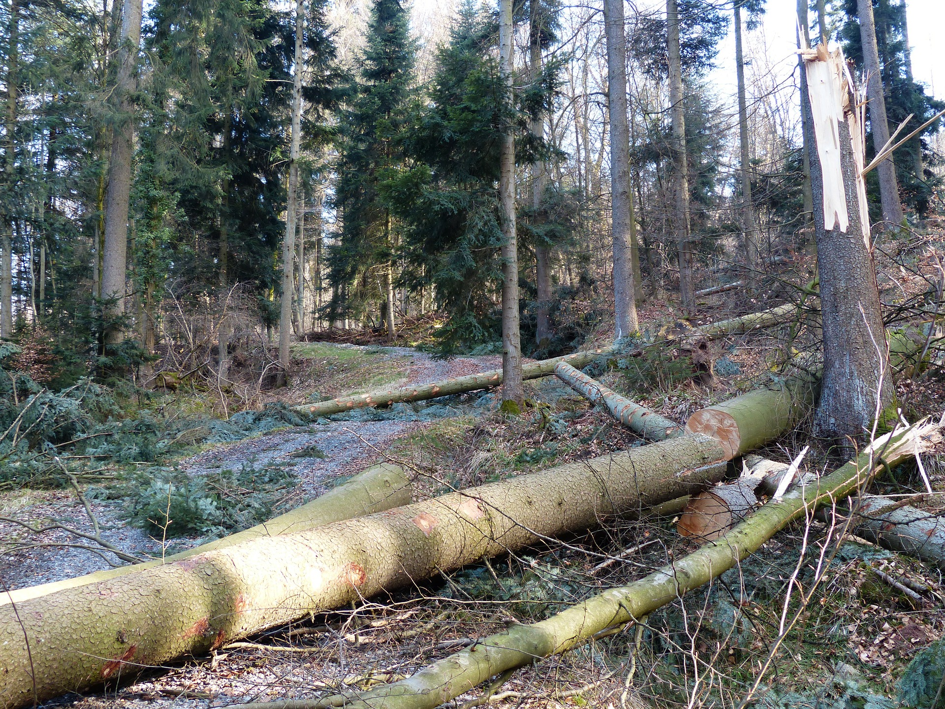 Sturm Schäden