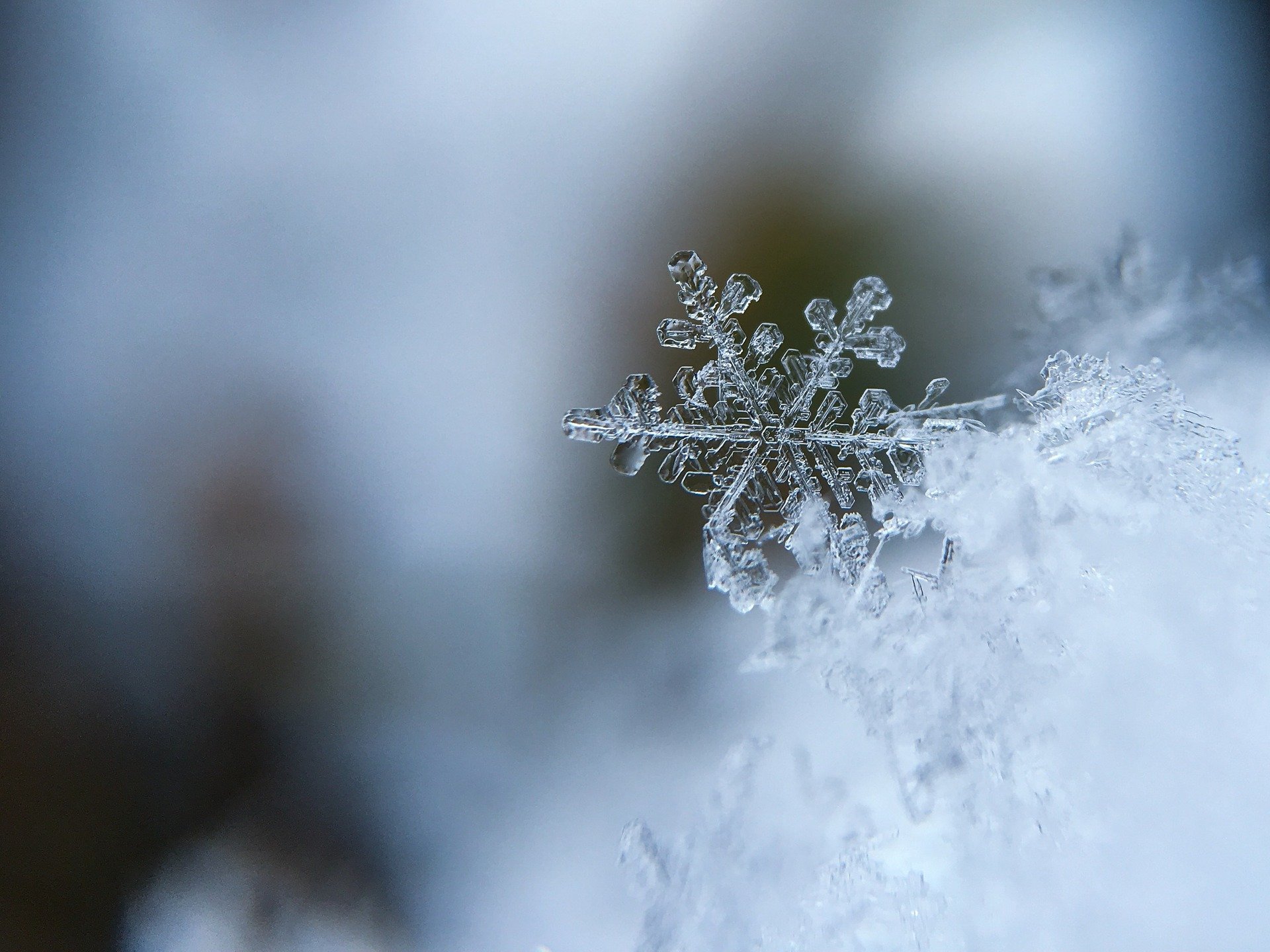 Schneeflocken