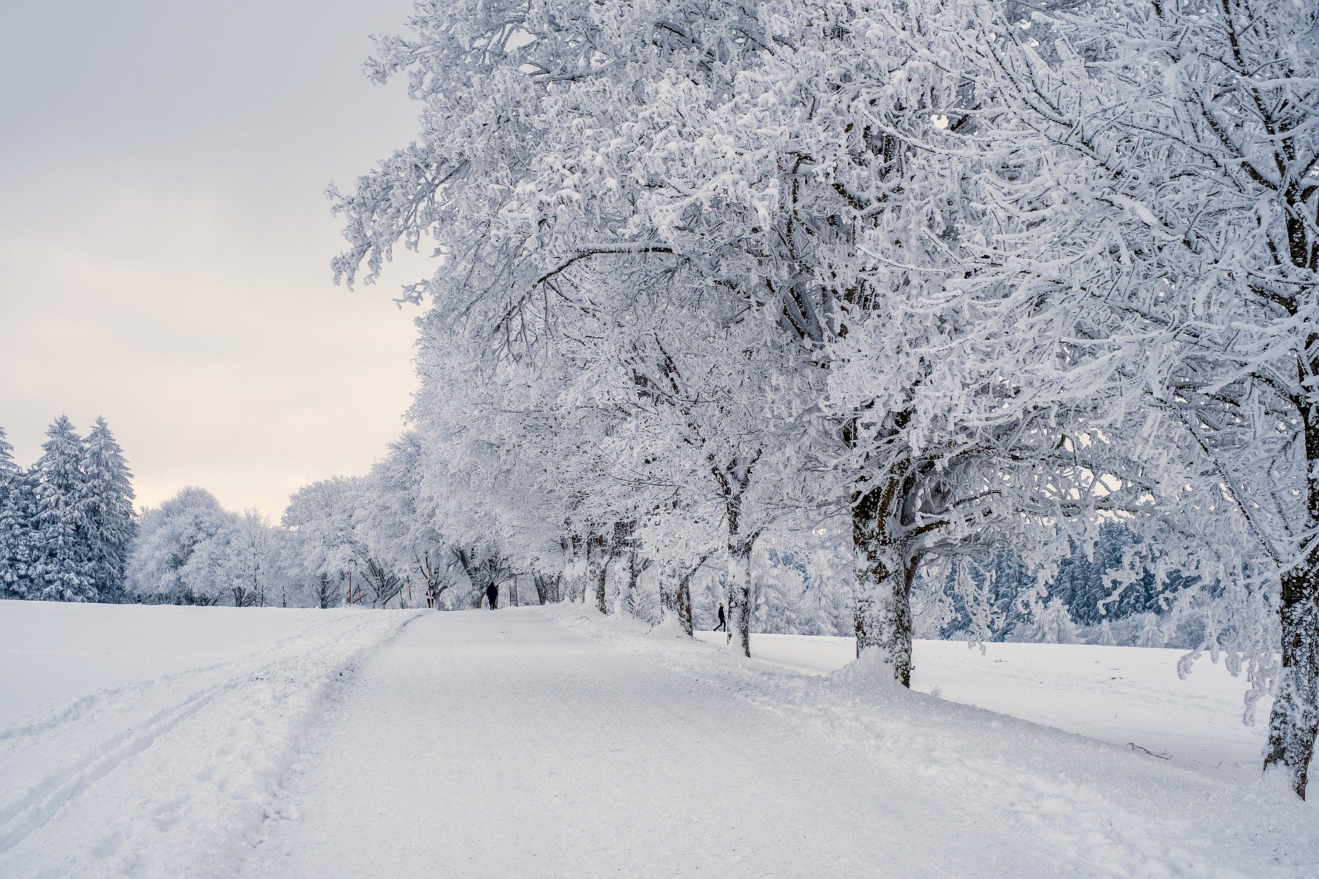 Weihnachten mit Schnee?